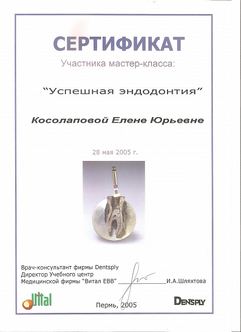 Золотое яблоко пермь сертификат. Сертификат Пермь. Сертификат Елены Юрьевны.